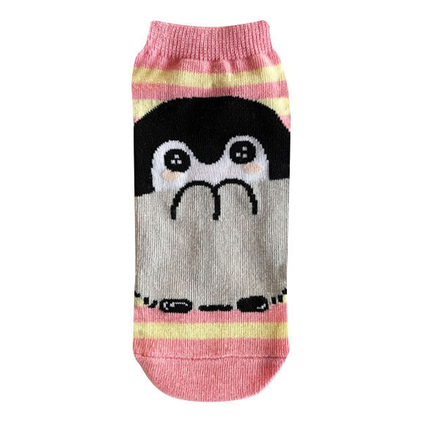 コウペンちゃん キャラックス(ボーダー)