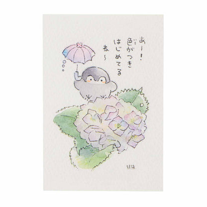コウペンちゃん 花丸らんまん ポストカード（あじさい）