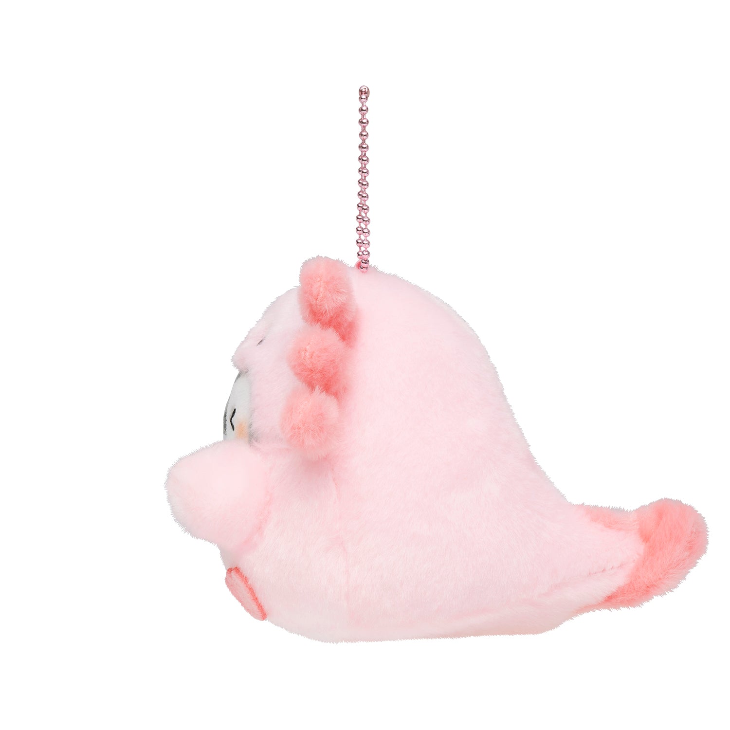 コウペンちゃん 海のいきものなんだよ〜 ウーパールーパーさんな