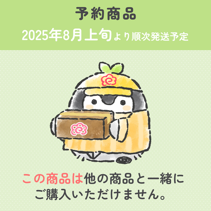 【予約】コウペンちゃん シロツメクサな幸せよつばマスコット【2025年8月上旬より順次発送予定（発送延期の場合もキャンセル不可）】【通常商品と同時購入不可】【キャンペーン対象外】
